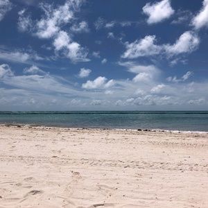 Meet your Posher, Kellie